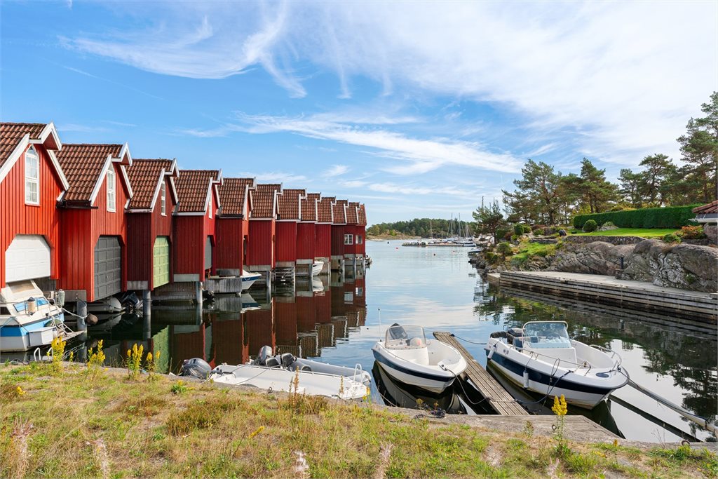 Område bilde